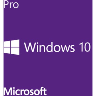 Software MS Windows 10 Pro 64Bit DSP/SB UK