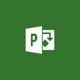 Microsoft MS Project Pro 2019                   DE